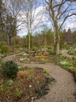 The winding paths of the Picton garden are edged with wood logs gives a woodland natural look.