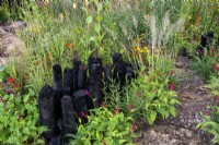 Black charred posts surrounded by lush green foliage of plants including Persicaria amplexicaulis and Calamagrostis brachytricha - The Yeo Valley Organic Garden, RHS Chelsea Flower Show 2021