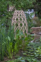 Laminated bamboo structure in a pond with Nymphaea alba, Equisetum hyemlae and Pontederia cordata - The Guangzhou Garden, RHS Chelsea Flower Show 2021