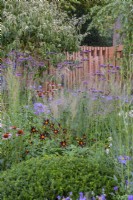 Late Summer border with Heptacodium miconioides, Verbena bonariensis, Dahlia, Echinacea and ornamental grasses - The Florence Nightingale Garden, RHS Chelsea Flower Show 2021