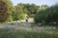 meadow filled with white  Oxeye Daisies - Leucanthemum vulgare around a living willow tunnel with hanging tent on a tripod frame.