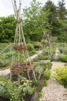 Kitchen garden with plant supports made from willow and hazel.