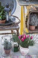 Modern balcony with yellow railings in January. With a mix of small potted evergreens and locally grown tulips. Potted Chamaecyparis pisifera 'Boulevard' in a glass jar next to a lantern and a jug with pine branches and tulips. Under the table a Leucophyta brownii. In a pewter plate stands a Picea glauca 'Conica' next to a miniature ivy.