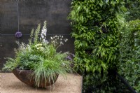 Scallop-shaped container with mixed planting of Pittosporum tobira, grasses, Nepeta, Gaura, Astrantia, Delphiniuim and Thalicrum delavayi 'Splendid White', set against a dark wall with Amethyst stone inset, green living wall reflecting in black edged pond - The Stolen Soul Garden, RHS Chelsea Flower Show 2021