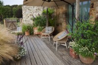Wicker chairs with cushions and large sunshade on raised deck with Big Pots of Salvia 'Amistad' and Lagurus ovatus - Bunny's Tail Grass,
Small pot of  Salvia ' Love and Wishes' and Calibrachoa, more pots with Nassella (Stipa) tenuissima and Gaura lindheimeri. Tree Fern in shady corner. 