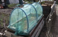 Home made, net covered sowing bed.  Award winning grower's allotment.