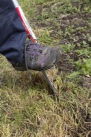 Using a Root Assassin spade to straighten edge of allotment plot, grass turf