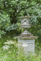 Stone urn on pedestal set within wild garden as a focal point with Sorbus tibetica 'John Mitchell' syn. 'Mitchellii' - whitebeam. June