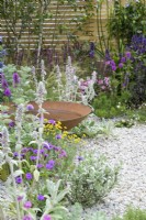 Drought-tolerant herbaceous planting of Armeria maritima, Artemisia schmidtiana and Stachys byzantina with rusty Corten steel  water bowl - Turfed Out Garden, RHS Hampton Court Palace Garden Festival 2022
