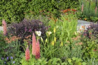 Mixed planting with Pittosporum 'Tom Thumb', Lupins and white Hemerocallis in A Journey, in Collaboration with Sue Ryder garden at RHS Hampton Court Palace Garden Festival 2022 - Designed by Katherine Holland