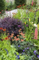 Mixed planting with Pittosporum 'Tom Thumb', achillea, Lupins and white Hemerocallis in A Jouney, in Collaboration with Sue Ryder garden at RHS Hampton Court Palace Garden Festival 2022 