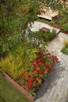 High view showing raised planter with Helenium 'Moerheim Beauty' with pathway to water feature and seating area. 'Lunch Break Garden', RHS Hampton Court Palace Garden Festival, London, July 2022 - Best in Show Get Started Gardens - Designer: Inspired Earth Design