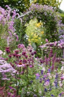 Colour themed borders in a cottage garden in July