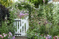 Gate into a cottage garden framed with flowers including hollyhocks in July