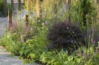 Mixed planting with Pittosporum 'Tom Thumb' in A Journey, in Collaboration with Sue Ryder garden at RHS Hampton Court Palace Garden Festival 2022