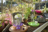 Alitex Greenhouse interior  furnished with pre-loved items from Lamb  and  Newt 