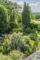 Aerial view of informal country garden filled with roses and perennials. Rosa 'Lady of Shalott', 'Mary Delany' syn. 'Mortimer Sackler', and 'Rambling Rector'.