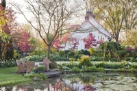 View of the spring garden across the pond to a small decked patio with wicker garden furniture, white yellow themed borders with daffodils and tulips and Malus 'Paul Hauber' in blossom.