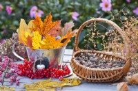 Basket with collected oak acorns and vase decorated with autumn foliage and guelder rose berries.