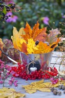 Autumn arrangement with maple leaves and guelder rose berries.