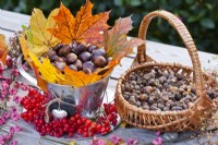 Basket with collected oak acorns and vase filled with chestnut and decorated with autumn foliage and guelder rose berries.