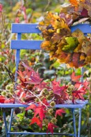 Autumn decoration with Liquidambar foliage and leaf wreath on chair.