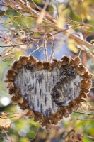 Heart made from birch bark and beechnuts hanging from the tree.