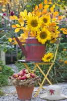 Sunflowers and hornbeam branches in a watering can and harvested apples.