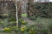 The Winter Garden at Winterbourne Botanical Gardens - March