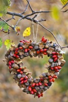 Heart shaped wreath on made of rosehips, beechnuts and acorns hanging from a tree.