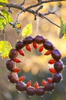 Wreath made of horse chestnuts and rose hips hanging from the tree.