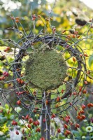 Outdoor decoration with rose hip wreath on a wood post.