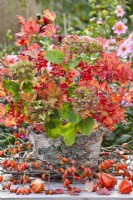 Bunch of guelder rose with berries and autumn foliage and hydrangea flowers in bark containers.