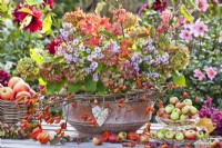 Autumn table arrangements including woven box and glass stand with apples and terracotta decorated with rose hip wreath and filled with hydrangea, asters, guelder rose and euonymus..