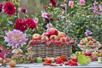 Autumnal table arrangement with harvested apples, dahlia and rose hips.