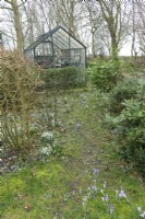 Greenhouse in the middle of crocus and Galanthus.