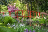 Red bridge over the river with candelabra primulas, irises, persicaria and ferns