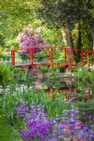 Red bridge over the river with candelabra primulas, irises and ferns
