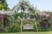 A swing-seat rests between a border of salvias, box balls and shrub roses. Behind, trained along a pergola and arbour is Rosa 'Paul's Himalayan Musk'.