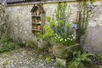 Stone water trough planted with narcissi and shelves with terracotta pots and found objects on a garden wall in April