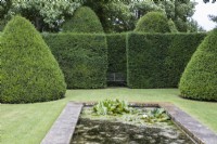 View over stone edged formal rectangular pond to seat within exceptionally high hedges and cones of Yew which have not yet been cut. July. Summer