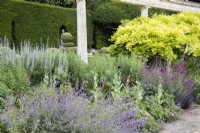 Part of border of the Great Terrace with Nepeta, Papaver, Salvia and Wisteria.