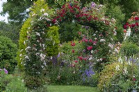 An arch is covered on Rosa 'Chevy Chase' and Rosa 'Open Arms'. Beyond, on obelisk, Rosa 'Wymondham Abbey'.