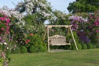 A swing-seat rests between a border of salvias, box balls and shrub roses. Behind, trained along a pergola and arbour is R. 'Paul's Himalayan Musk'. On right, R. 'Sir Paul Smith' 'Beapaul'