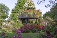 A central viewing platform in the gardens at Peter Beales Roses clothed in rambling roses.