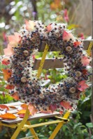 Autumnal wreath made from Boston ivy climbing stems with berries, poppy seedheads and leaves.