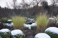 The box garden at Lower House in December.