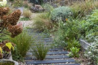 A path is made from wood off-cuts left over from laying the wooden decks, fixed at equal intervals beneath the gravel. Self-seeded grasses, marigolds and gaura have established.