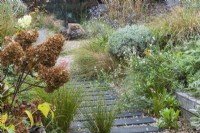 A path is made from wood off-cuts left over from laying the wooden decks, fixed at equal intervals beneath the gravel. Self-seeded grasses, marigolds and gaura have established. On the left, dried hydrangea heads.
