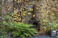 A climbing hydrangea is trained on the wall around an iron stove, at its feet hardy geranium 'Rozanne', and Polystichum setiferum, soft shield fern.